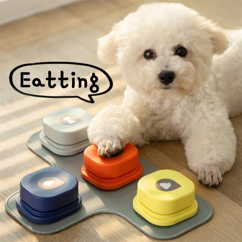 Dog Talking Button Toy - Image 2