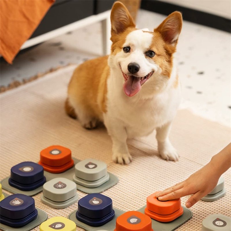 Dog Talking Button Toy - Image 8
