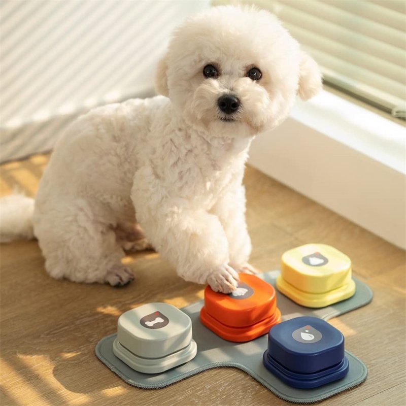 Dog Talking Button Toy - Image 6