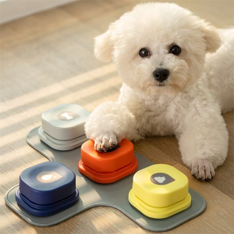 Dog Talking Button Toy - Image 10