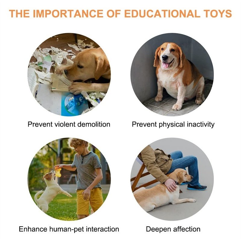 Dog Talking Button Toy - Image 4